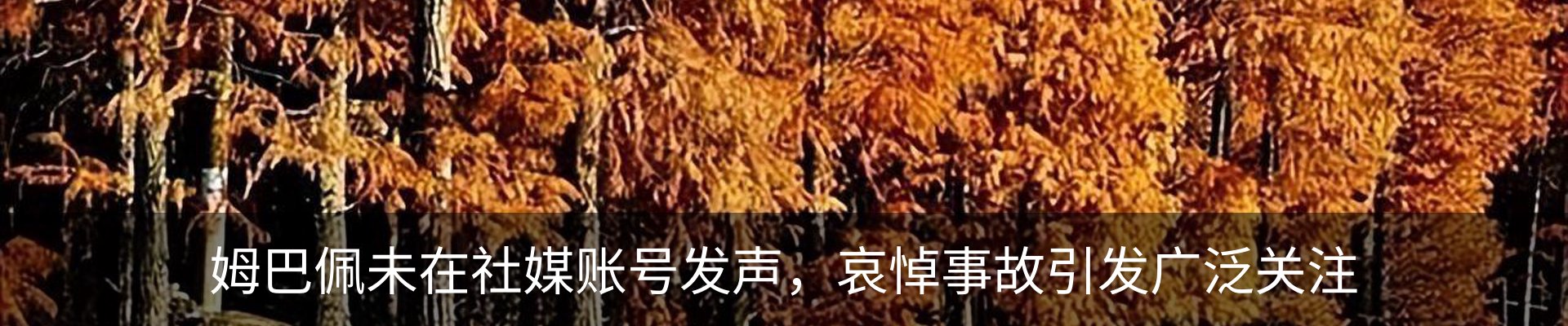资讯中心